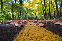 About-Bicycles Fall Trail