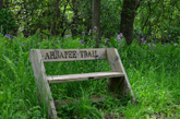 Ahnapee Trail Bench
