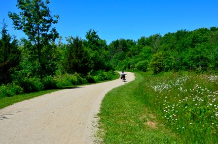 Recumbent Rider on Bike Path