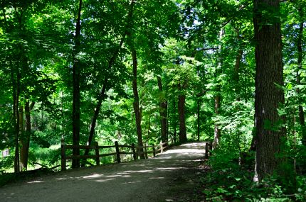 Bike Path and Wooded Bridge