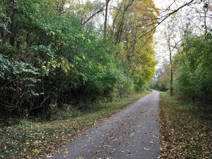 Wooded Fox River Trail view north of Dundee