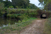 Hennepin Canal Trail tunnel