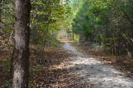 Mammoth Cave Bike Trail in October