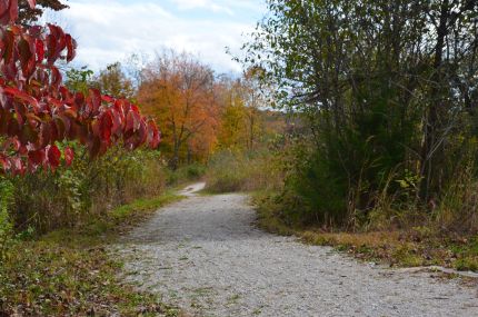 Fall colors on the Mammoth Cave Bike Trail