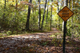 Steep grade on Mammoth Cave Trail