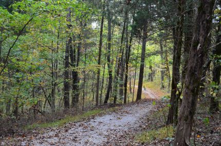 Looking down the steep grade hill on Mammoth Cave Trail