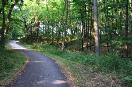 Paved and wooded section of Moraine Hills Path