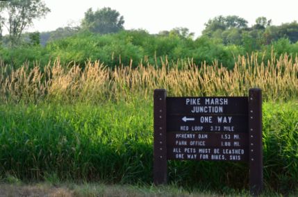 Pine Marsh Junction sign