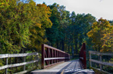 Bike trail bridge in Hickory Creek Preserve 