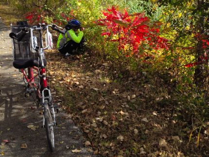 Fall photos along the OPR Bike Trail
