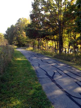 Hickory Creek Preserve Bike Trail