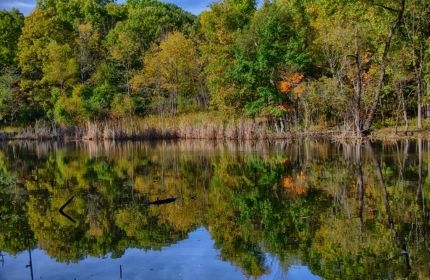 Lake photo from Hickory Creek Preserve