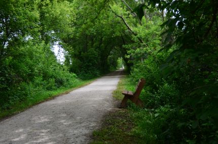 A bench along the trail