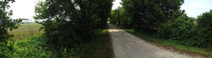 Wide view of the White River Trail