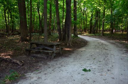 DPR Trail just north of Central Road