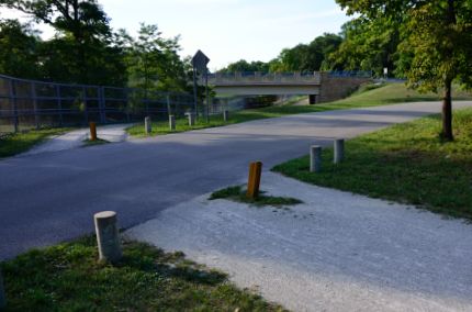 DPR Trail at Camp Pine Woods forest preserve
