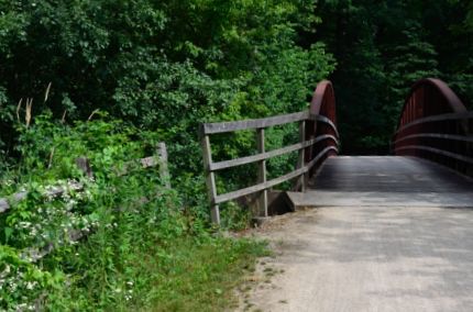 Bridge in heavily wooded part of bike trail