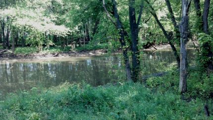 View of Plumb River near Great River Trail