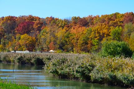 I&M Canal and fall colors