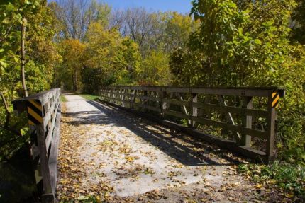 Leaf covered bridge on IM Trail