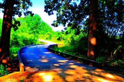 Colorful wooden trail along Millennium Trail