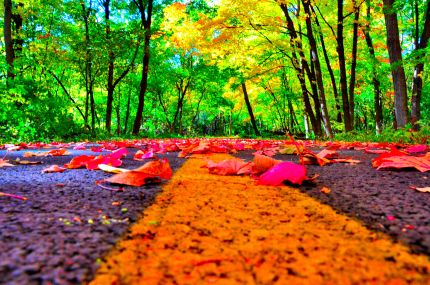 Colorful, low profile fall photo from Deer Grove