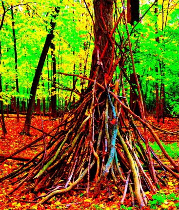 Saturated color photo of teepee like stick formation