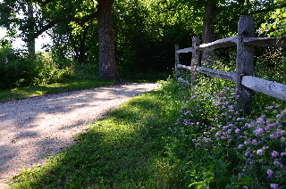 Fence and flowers alongside the Millennium Trail