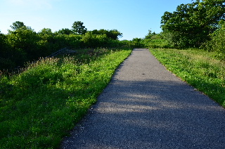 Northern end of the Millennium trail