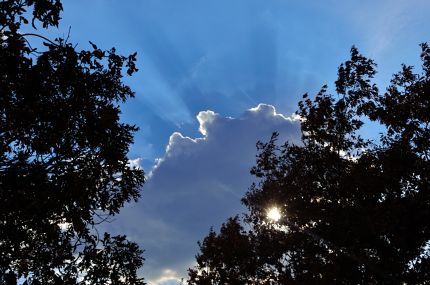 Sunbeams shooting out from a cloud