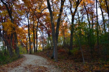 Fall colors in Lakewood Forest Preserve