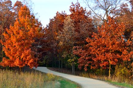 Autumn colors on bike trail