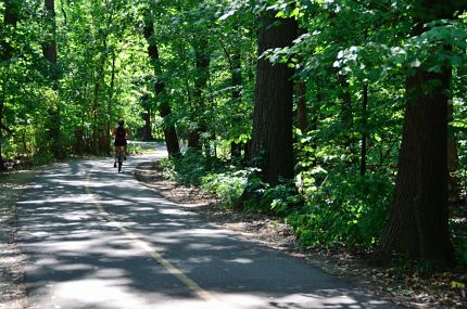 Rider on the North Branch Trail