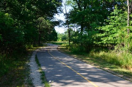 The shady, wooded southern part of the NBT