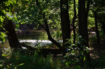 The North Branch River as seen from the NB Trail