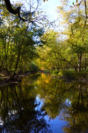 Beautiful fall colors and reflections of the North Branch River