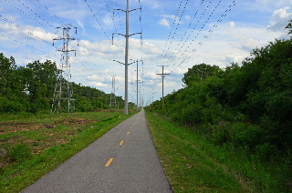 Power Lines on Skokie Valley Bike Trail