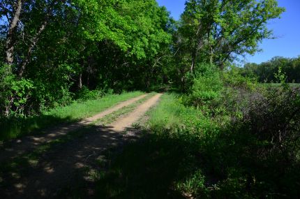 Great River Trail or Gravel Road
