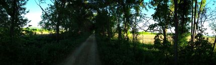 Panoramic view of LaCrosse River Trail