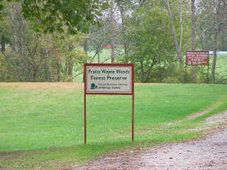 Pratt Wayne Woods Forest Preserve