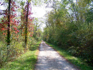 Fall colors starting to show on bike path