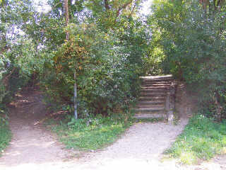 Hill and wooden steps on Ill Prairie Path
