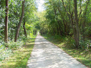 Wooded section of IPP bike path