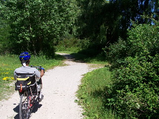 Bike trail in woods at Ill State Beach park