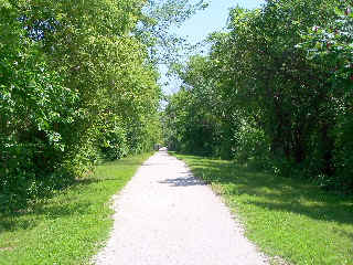 Wooded part of North Shore Trail
