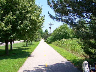 Tree lined part of the bike trail