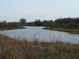 the wetlands along the trail