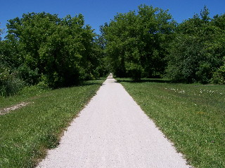 Straight section of RM Trail