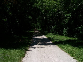 Shady section of RM bike trail