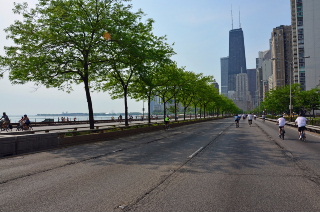 Row of trees on LSD with Chicago skyline